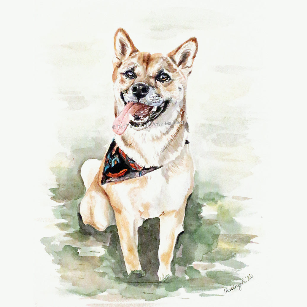 Custom Watercolor Dog Portrait