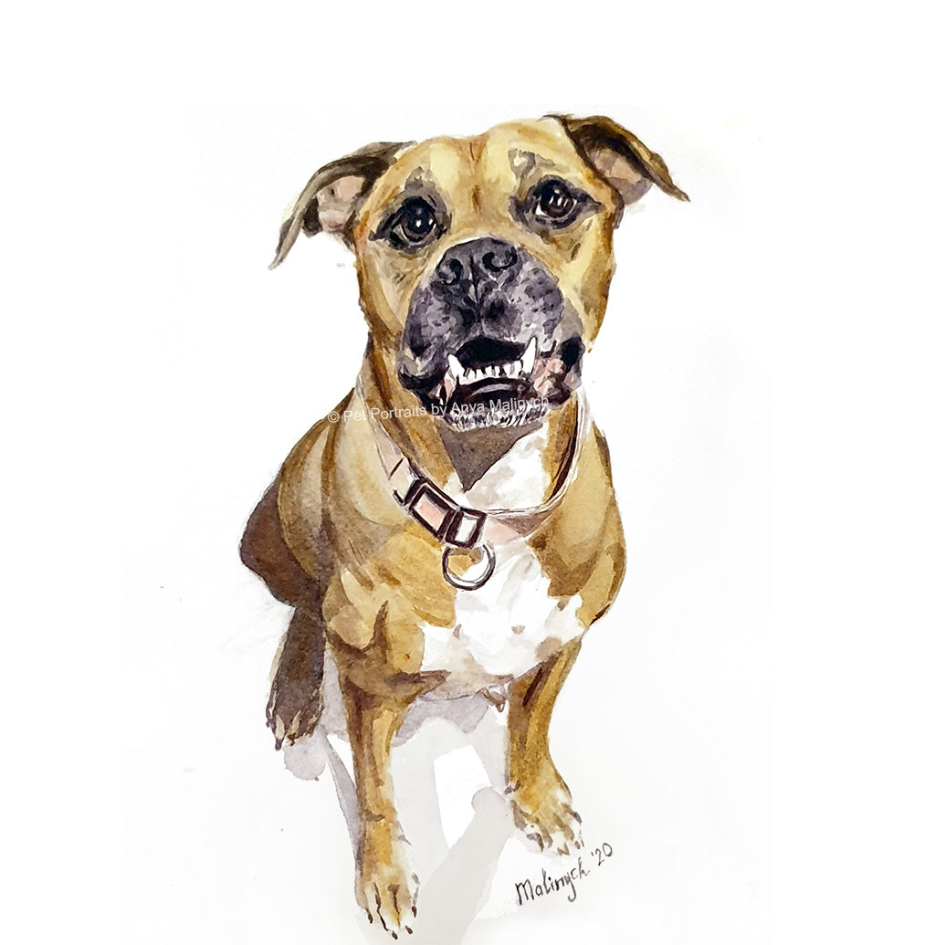 Custom Watercolor Dog Portrait